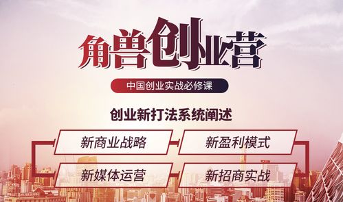 互联网销售 精准获取客户资源的策略与实践